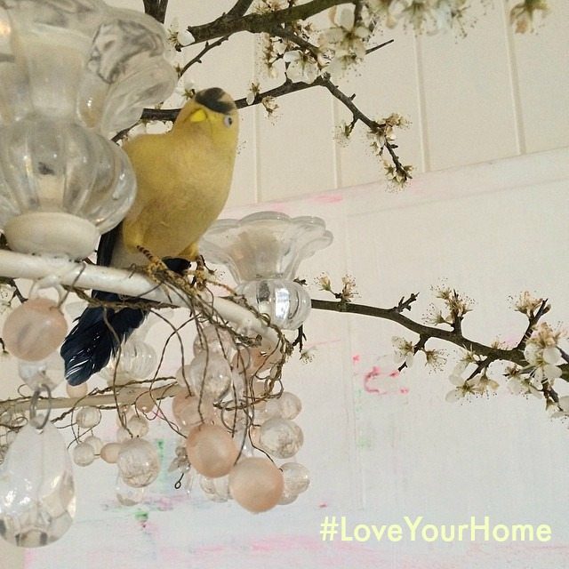 #Loveyourhome Jessica Zoob Party Styling