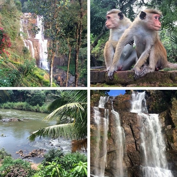 Waterfalls and monkeys in Sri Lanka